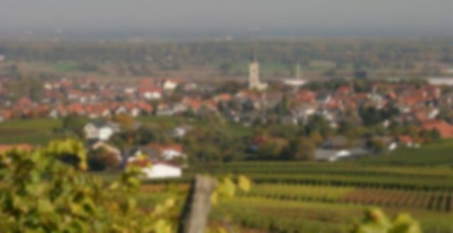 Bodenheim Elektriker Elektroinstallationen für Bodenheim