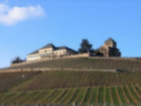 Geisenheim Elektriker Elektroinstallationen für Geisenheim