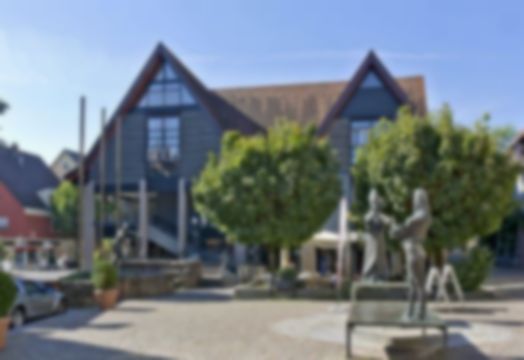 Ladenburg Elektriker Elektroinstallationen für Ladenburg